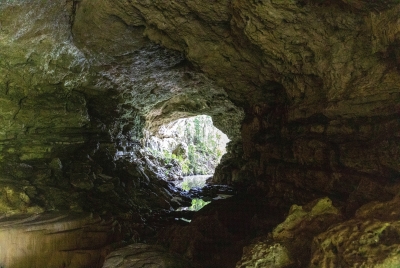 Rio Frio Cave PRNF Belize Feb 2022
